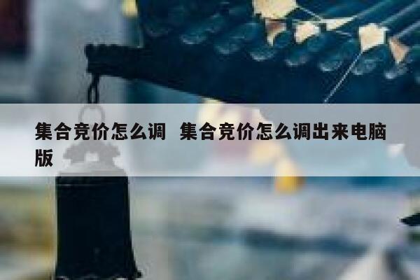 集合竞价怎么调  集合竞价怎么调出来电脑版