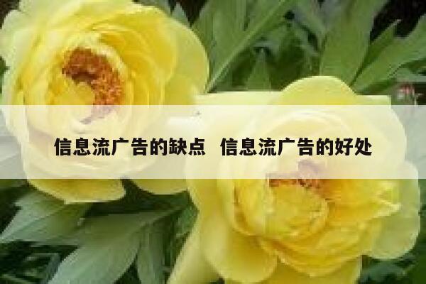 信息流广告的缺点  信息流广告的好处