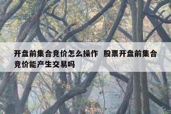 开盘前集合竞价怎么操作  股票开盘前集合竞价能产生交易吗