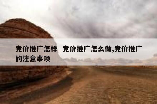 竞价推广怎样  竞价推广怎么做,竞价推广的注意事项