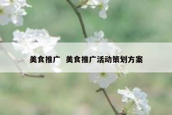 美食推广  美食推广活动策划方案