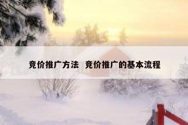 竞价推广方法  竞价推广的基本流程