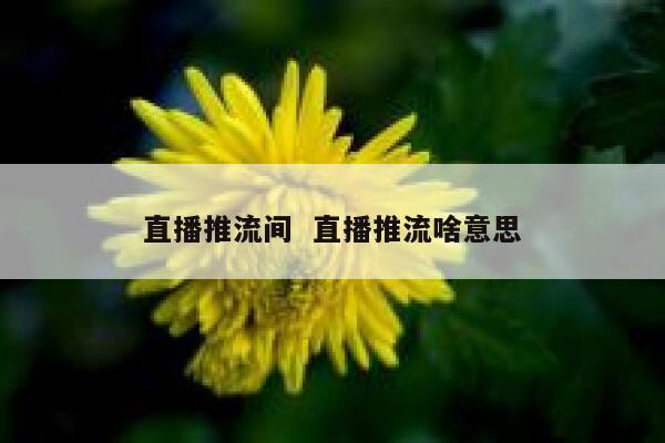 直播推流间  直播推流啥意思