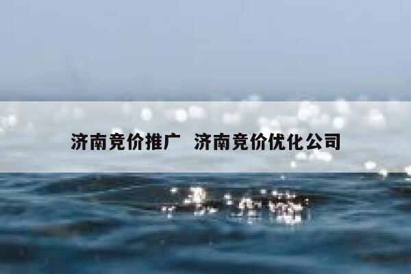 济南竞价推广  济南竞价优化公司