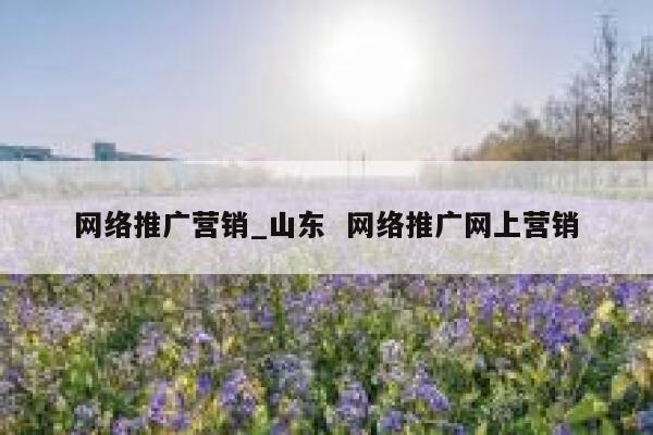 网络推广营销_山东  网络推广网上营销