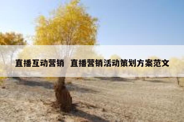 直播互动营销  直播营销活动策划方案范文