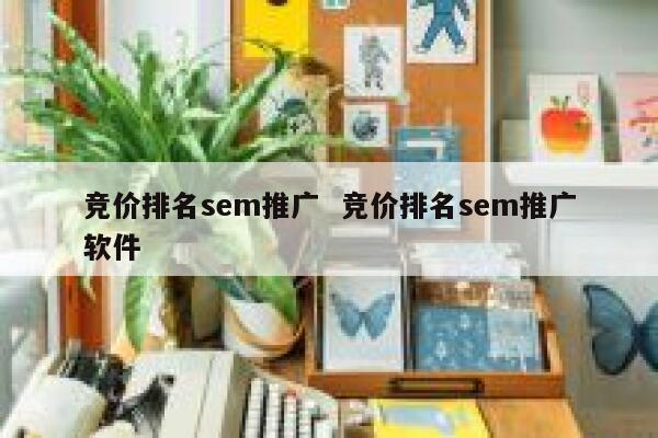 竞价排名sem推广  竞价排名sem推广软件