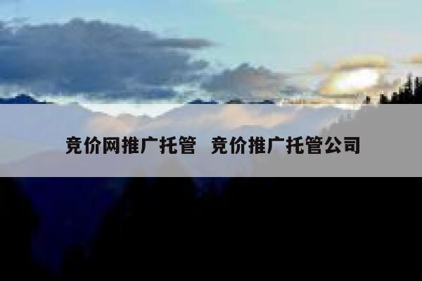 竞价网推广托管  竞价推广托管公司
