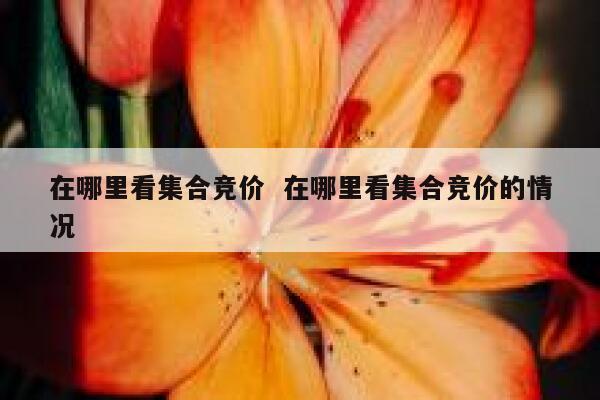 在哪里看集合竞价  在哪里看集合竞价的情况
