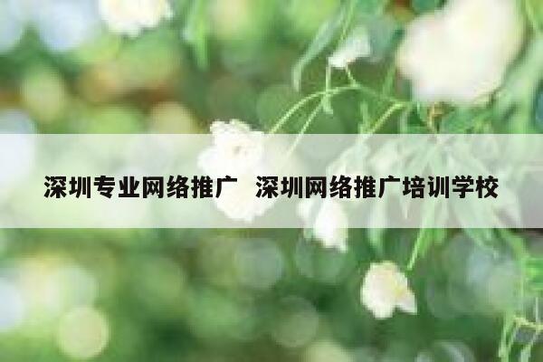 深圳专业网络推广  深圳网络推广培训学校 第1张