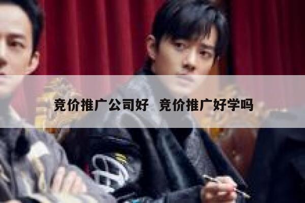 竞价推广公司好  竞价推广好学吗 第1张