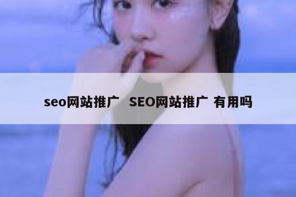 seo网站推广  SEO网站推广 有用吗