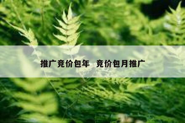 推广竞价包年  竞价包月推广 第1张