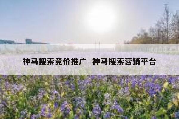 神马搜索竞价推广  神马搜索营销平台