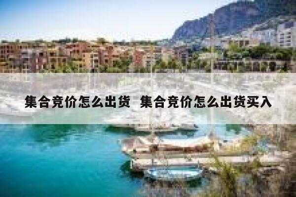 集合竞价怎么出货  集合竞价怎么出货买入 第1张