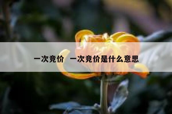 一次竞价  一次竞价是什么意思 第1张