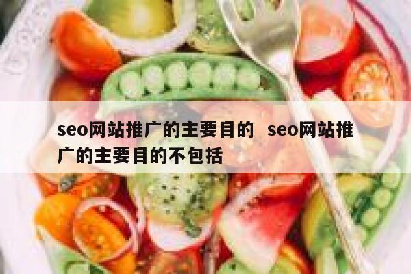 seo网站推广的主要目的  seo网站推广的主要目的不包括
