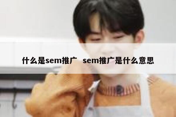 什么是sem推广  sem推广是什么意思 第1张
