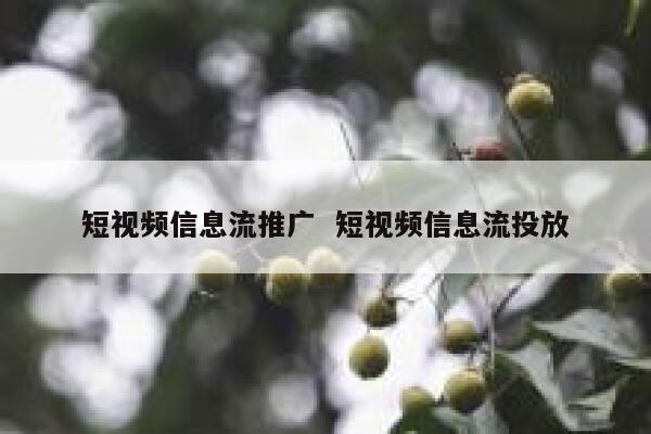 短视频信息流推广  短视频信息流投放 第1张
