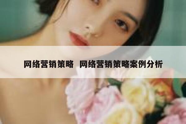 网络营销策略  网络营销策略案例分析