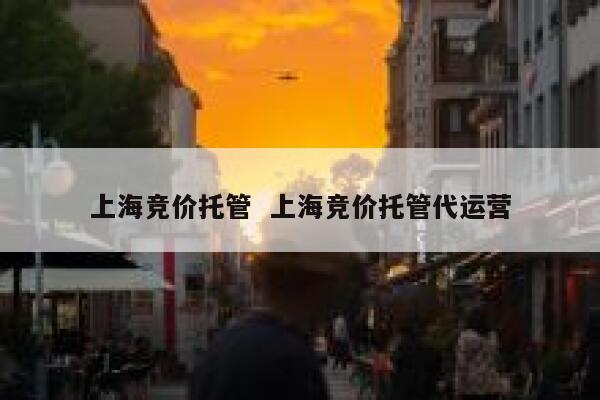 上海竞价托管  上海竞价托管代运营 第1张