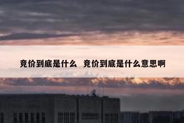 竞价到底是什么  竞价到底是什么意思啊