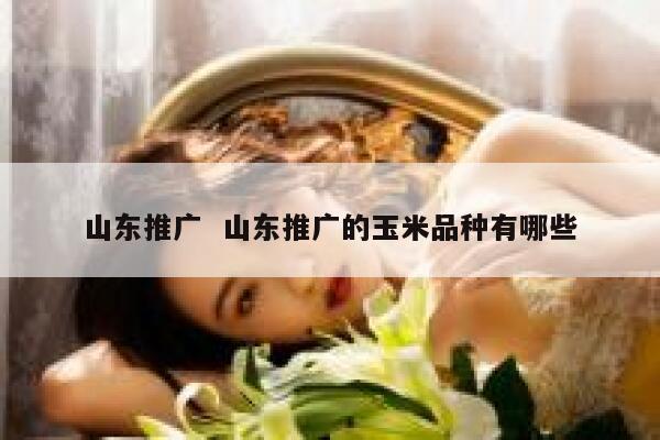 山东推广  山东推广的玉米品种有哪些 第1张