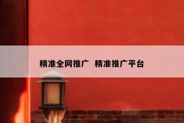 精准全网推广  精准推广平台 第1张