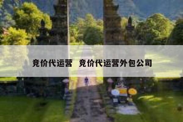 竞价代运营  竞价代运营外包公司