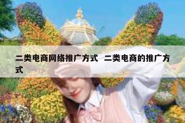 二类电商网络推广方式  二类电商的推广方式