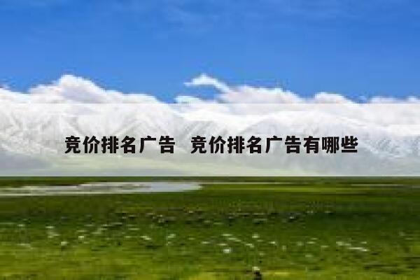 竞价排名广告  竞价排名广告有哪些 第1张