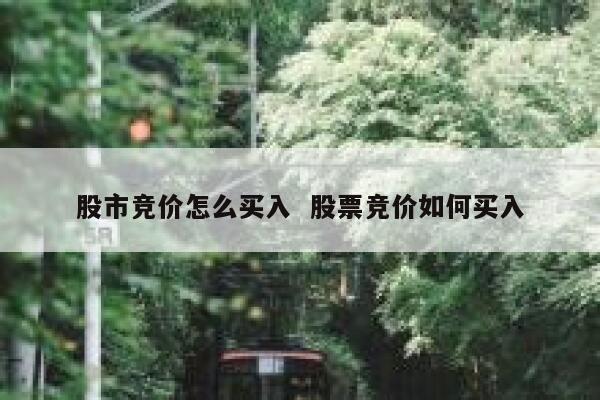 股市竞价怎么买入  股票竞价如何买入