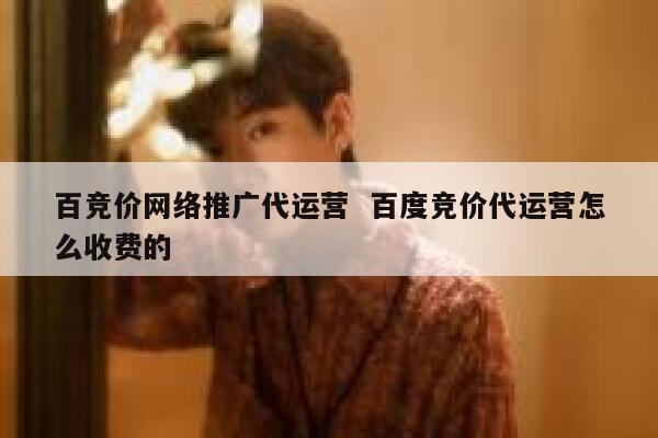 百竞价网络推广代运营  百度竞价代运营怎么收费的 第1张