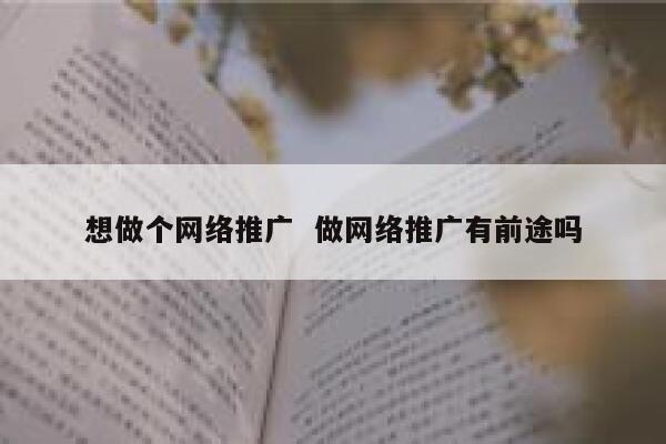 想做个网络推广  做网络推广有前途吗 第1张
