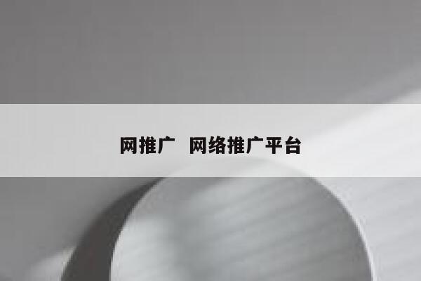 网推广  网络推广平台