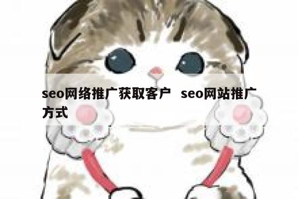 seo网络推广获取客户  seo网站推广方式 第1张