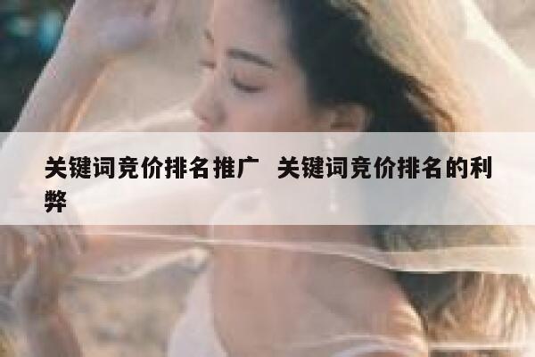 关键词竞价排名推广 关键词竞价排名的利弊 第1张 关键词竞价排名推广 关键词竞价排名的利弊 第1张