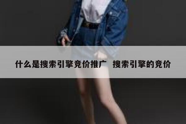 什么是搜索引擎竞价推广  搜索引擎的竞价