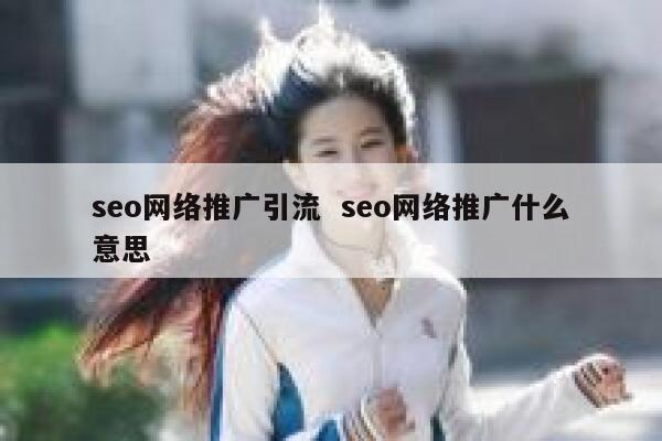seo网络推广引流  seo网络推广什么意思