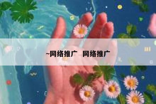 ~网络推广  网络推广