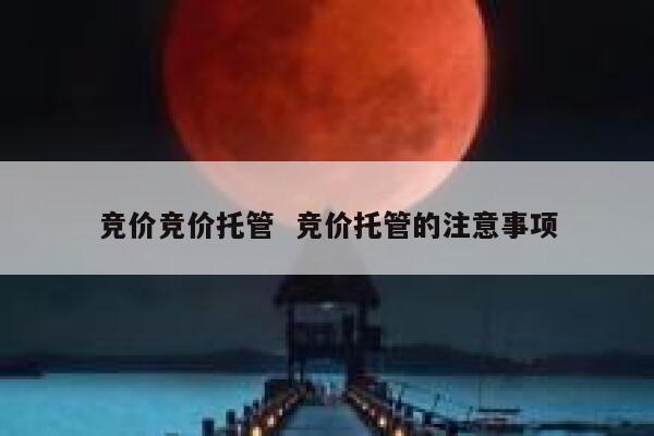 竞价竞价托管 竞价托管的注意事项