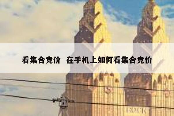 看集合竞价  在手机上如何看集合竞价 第1张