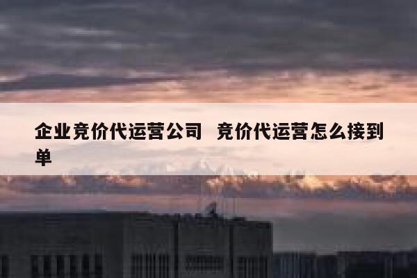 企业竞价代运营公司 竞价代运营怎么接到单
