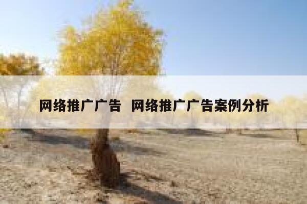 网络推广广告  网络推广广告案例分析