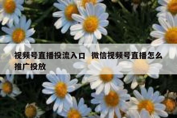 视频号直播投流入口  微信视频号直播怎么推广投放