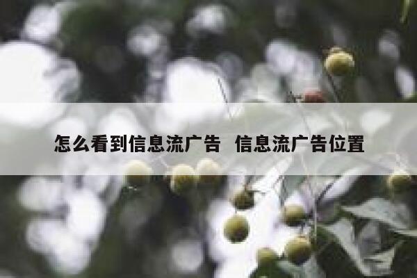 怎么看到信息流广告  信息流广告位置