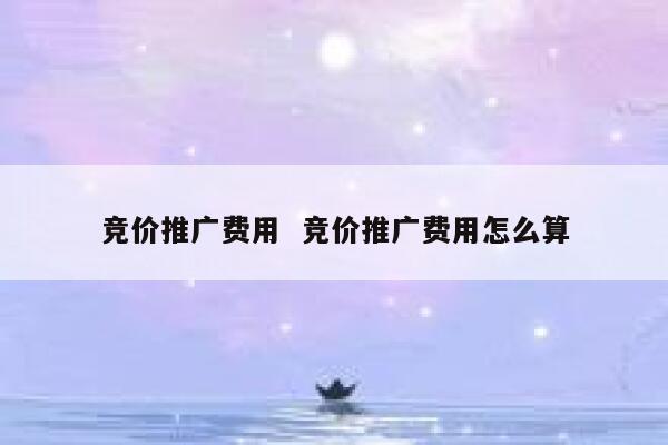 竞价推广费用  竞价推广费用怎么算