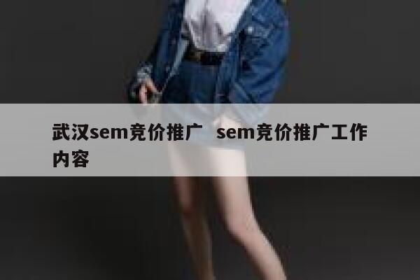 武汉sem竞价推广  sem竞价推广工作内容