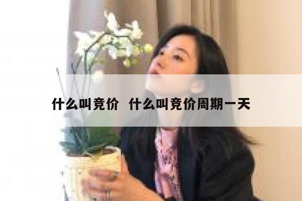什么叫竞价  什么叫竞价周期一天