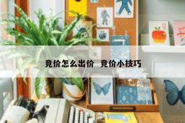 竞价怎么出价 竞价小技巧